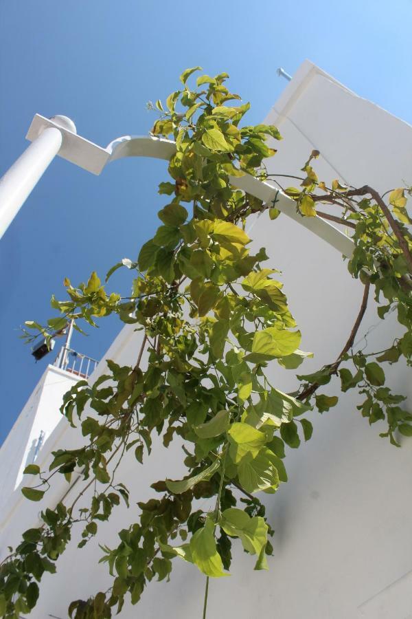 L'Angolo Di Ostuni - Home&Terracex4 Екстериор снимка
